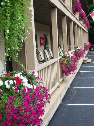 Tall Pines Motel Λίμνη George Εξωτερικό φωτογραφία