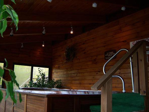 Tall Pines Motel Λίμνη George Εξωτερικό φωτογραφία