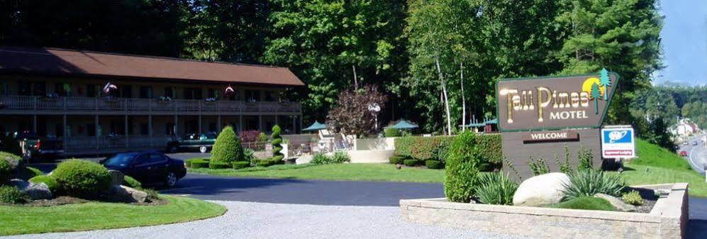 Tall Pines Motel Λίμνη George Εξωτερικό φωτογραφία