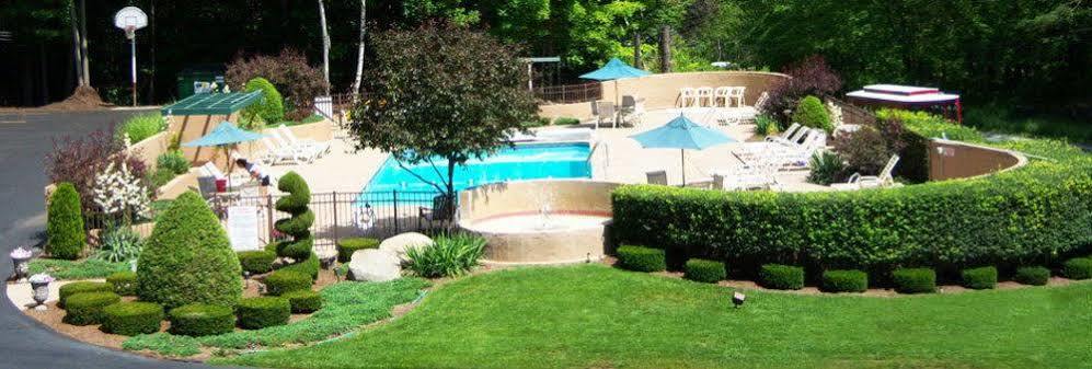 Tall Pines Motel Λίμνη George Εξωτερικό φωτογραφία